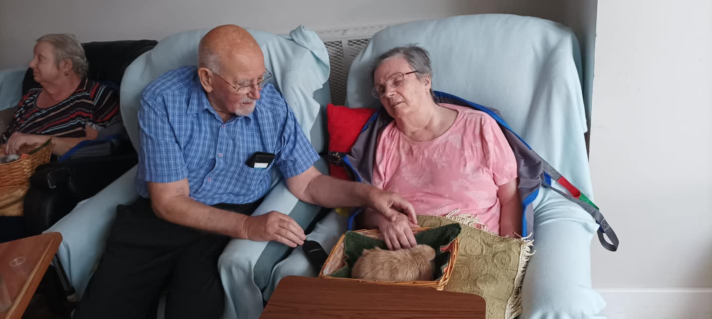 A few photos from the pet pals visit last week