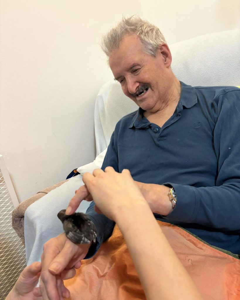 Man smiling while interacting with a small chick on his hand with assistance.

