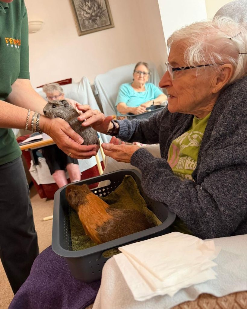 Resident enjoying a gentle pet therapy session with friendly guinea pigs.