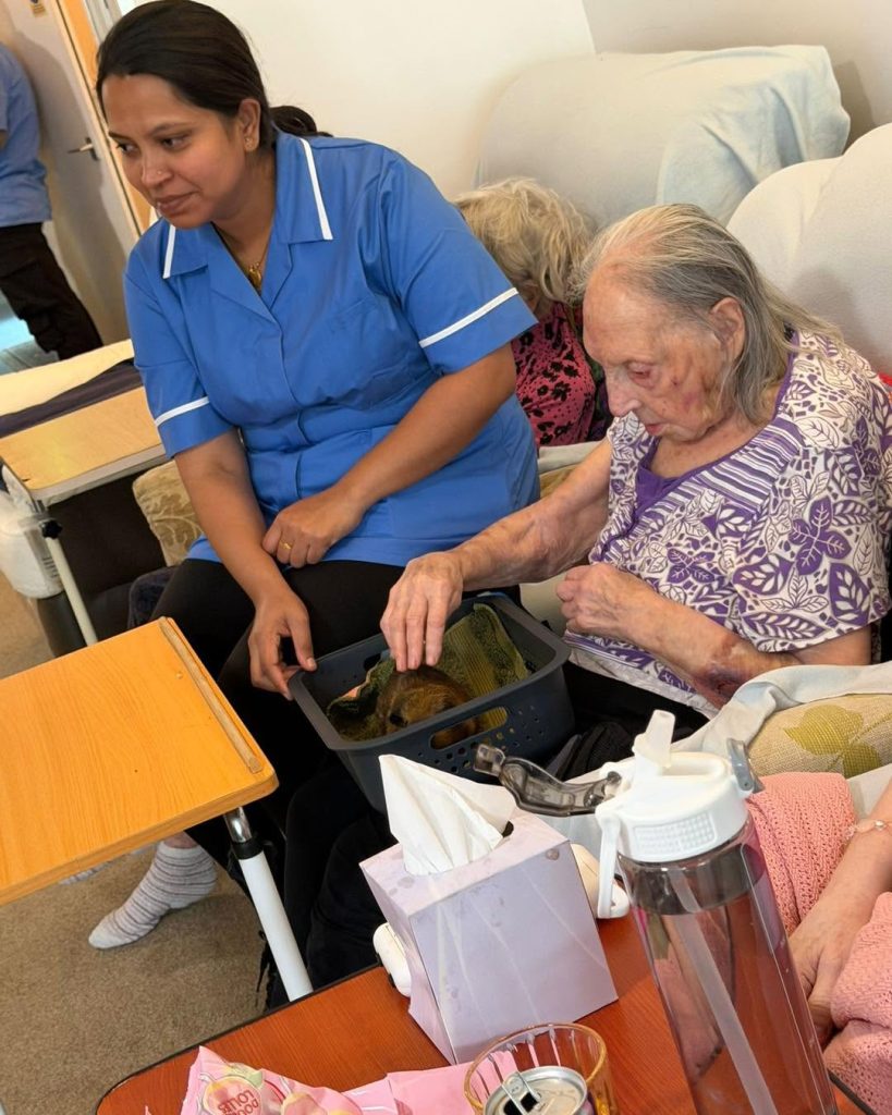 Care staff supporting a resident while interacting with a guinea pig.