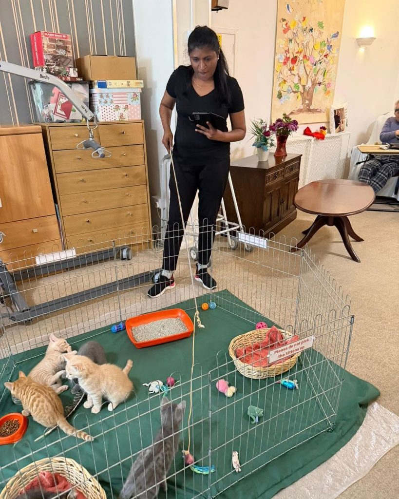 Care team supervising playful kittens during an animal therapy activity.