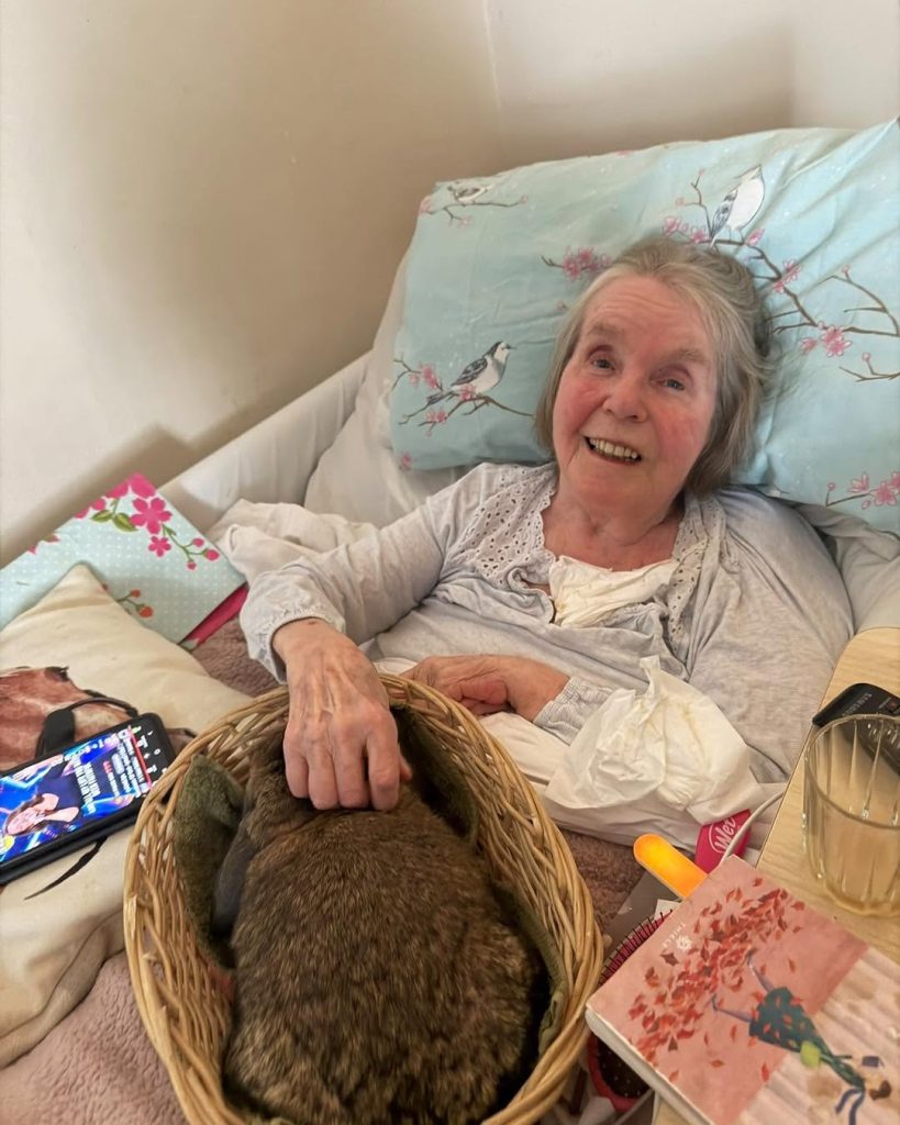 Elderly woman smiling while stroking a brown rabbit in bed.