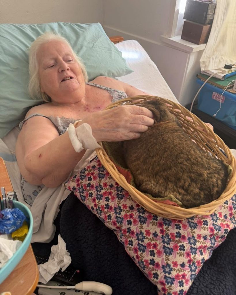 Elderly woman enjoying a gentle visit with a brown rabbit in bed.