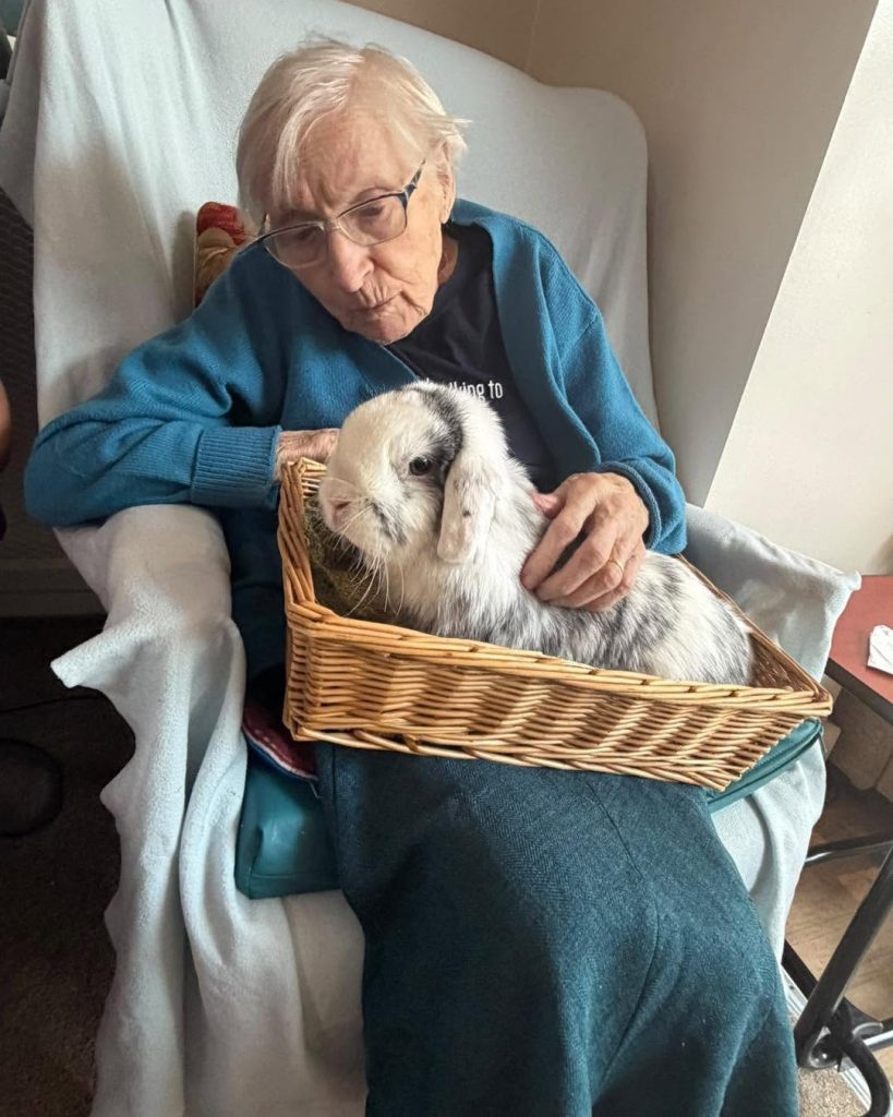 Elderly woman cuddling a white and grey rabbit in a wicker basket.
