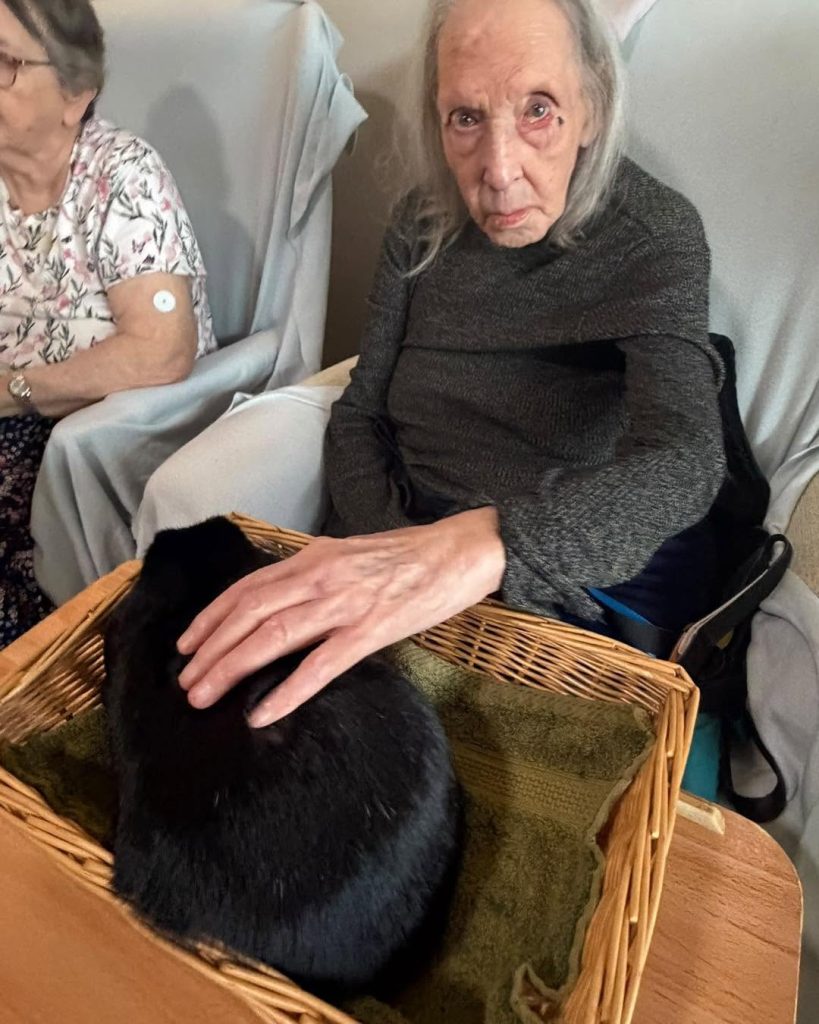 Elderly woman gently petting a black rabbit in a basket.