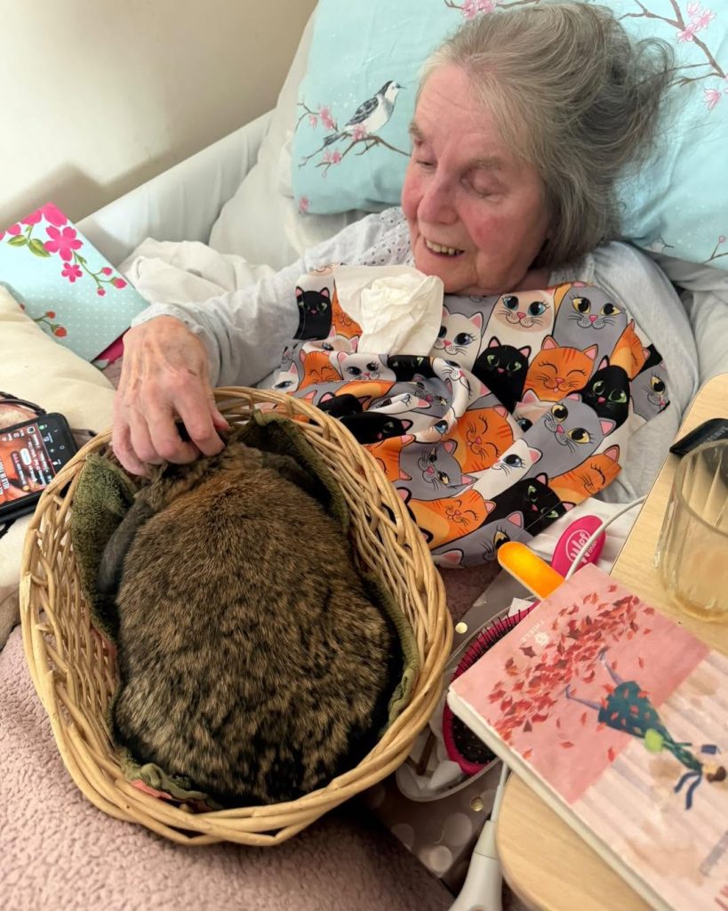 Elderly woman smiling and stroking a brown rabbit beside her bed.
